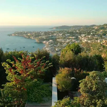 Apartment Casa Via Costa Ischia