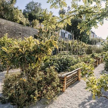 Casa Via Costa * Ischia