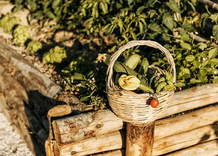 Casa Via Costa Appartamento *