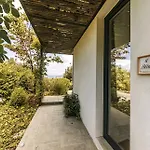 Lejlighed Casa Via Costa Sant'Angelo (Isola d'Ischia)